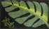 Grund LEAF zelená 50 x 60 cm, koupelnová předložka