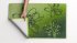 GRUND LUSIA - Koupelnová předložka zelená Rozměr: 50x60 cm