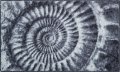 GRUND Koupelnová předložka AMMONA šedá Typ: 60x100 cm