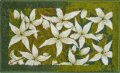 Grund JASMINE zelená 60x100 cm, koupelnová předložka